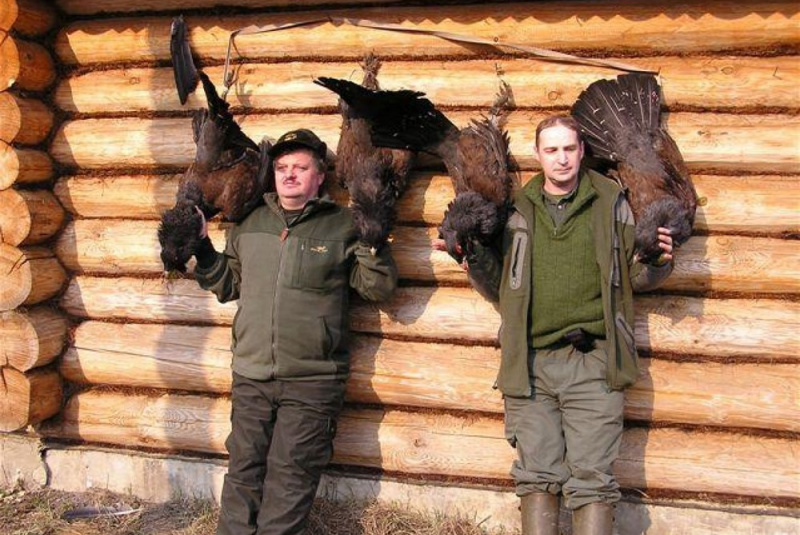  Poľovačky / Poľovačka na hlucháňa a tetrova v Rusku - foto