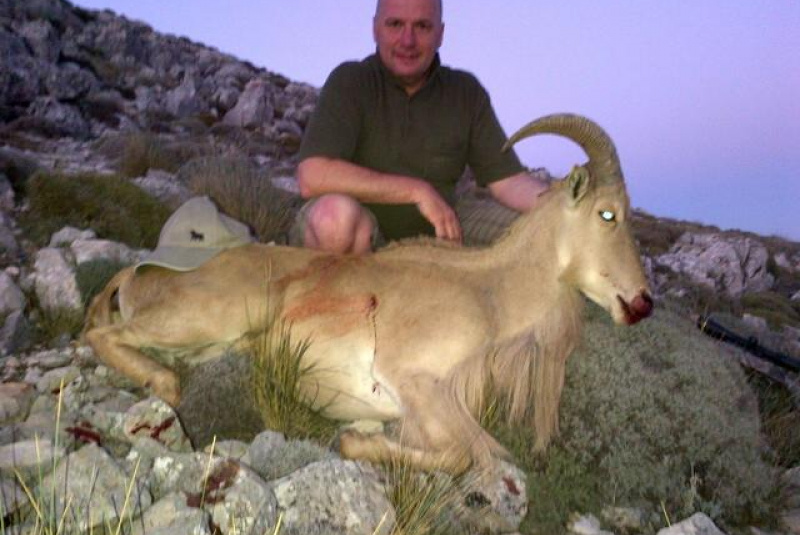 Poľovačka v Európe Poľovačka v Európe