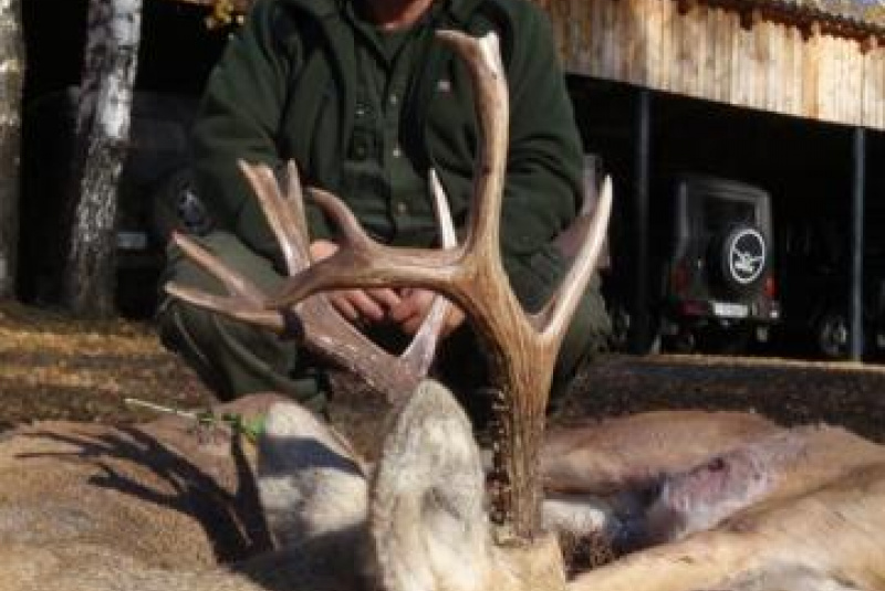 Poľovačka v Ázii Poľovačka v Ázii