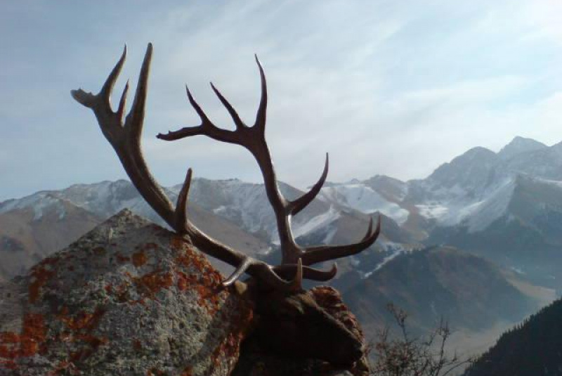 Poľovačka v Ázii Poľovačka v Ázii