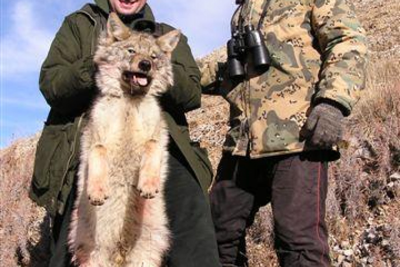 Poľovačka v Ázii Poľovačka v Ázii