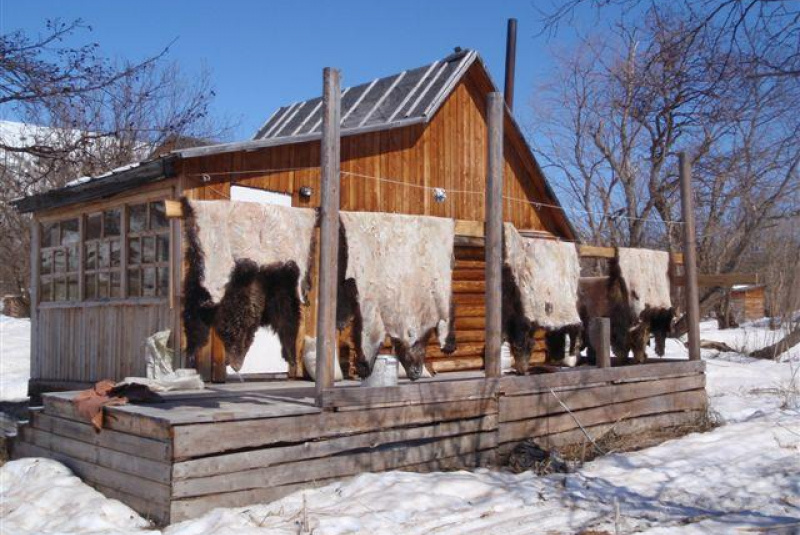 Poľovačka v Ázii Poľovačka v Ázii