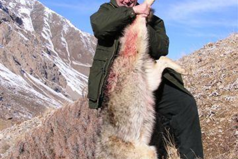 Poľovačka v Ázii Poľovačka v Ázii