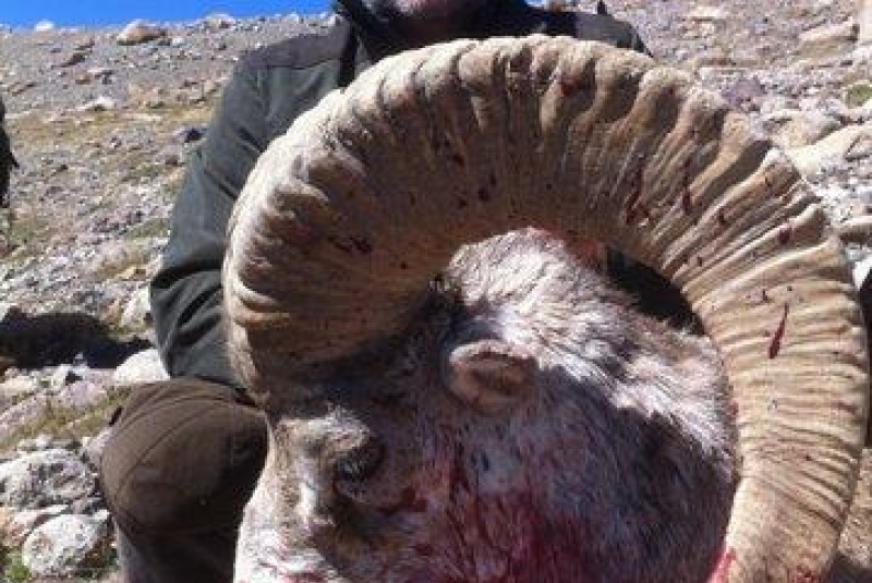 Poľovačka v Ázii Poľovačka v Ázii