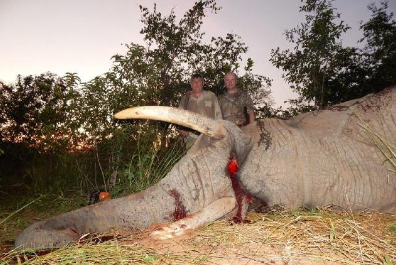 Safari v Afrike  Safari v Afrike