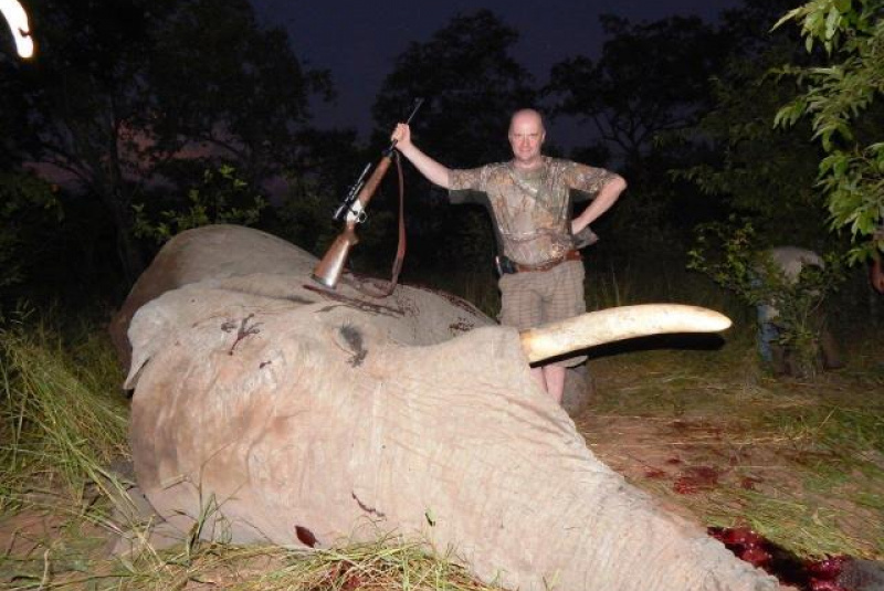 Safari v Afrike  Safari v Afrike