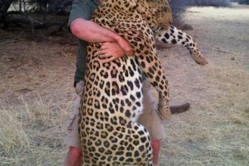  Safari v Afrike