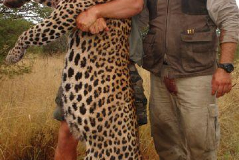 Safari v Afrike  Safari v Afrike