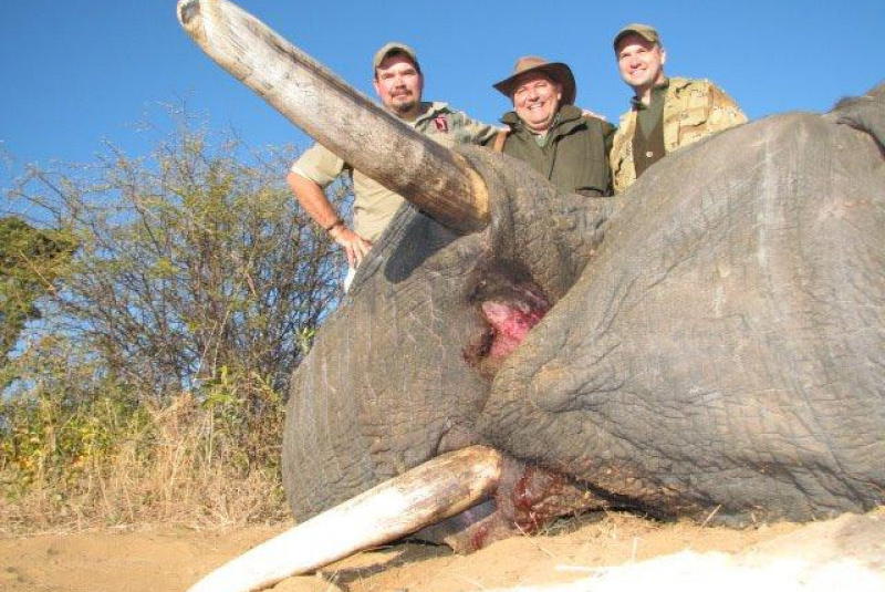 Safari v Afrike  Safari v Afrike