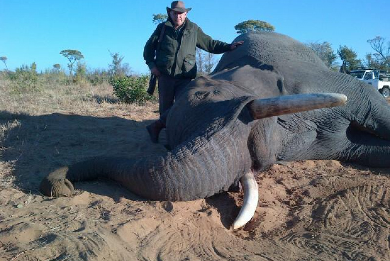 Safari v Afrike  Safari v Afrike