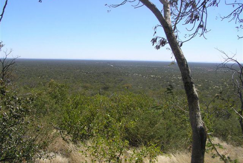 Safari v Afrike  Safari v Afrike