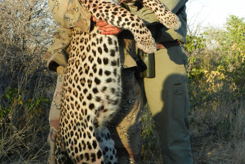 Safari v Afrike  Safari v Afrike