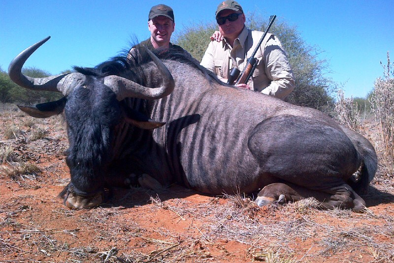 Safari v Afrike  Safari v Afrike