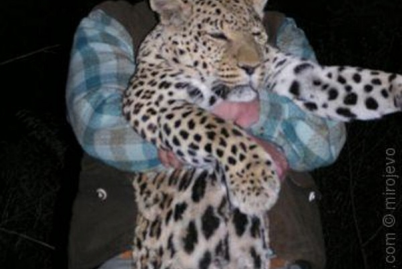 Exkluzívne lovy / Poľovačka v Namíbii - foto Exkluzívne lovy / Poľovačka v Namíbii - foto