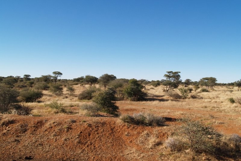 Exkluzívne lovy / Poľovačka v Namíbii - foto Exkluzívne lovy / Poľovačka v Namíbii - foto