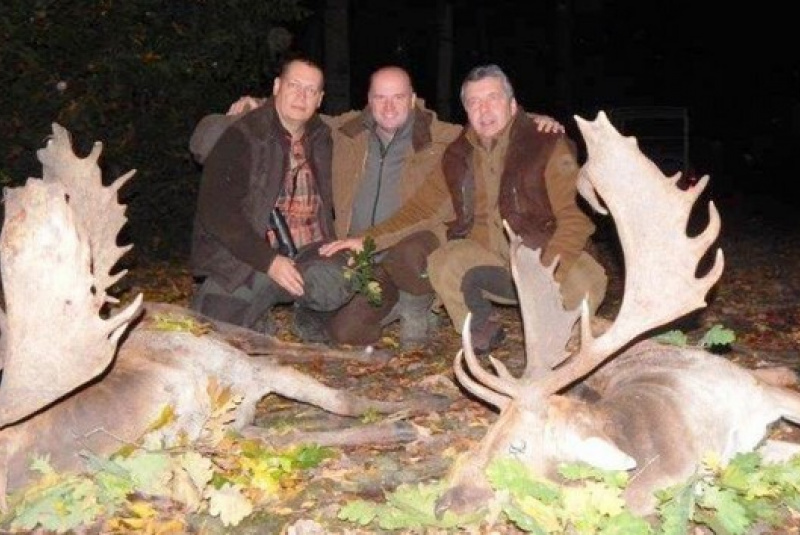 Exkluzívne lovy / Poľovačka na daniela v ruji - foto Exkluzívne lovy / Poľovačka na daniela v ruji - foto