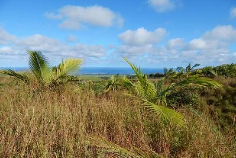 Exkluzívne lovy / Maurícius - lov jeleňa Rusa - foto Exkluzívne lovy / Maurícius - lov jeleňa Rusa - foto