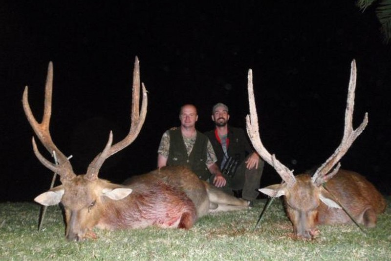 Exkluzívne lovy / Maurícius - lov jeleňa Rusa - foto Exkluzívne lovy / Maurícius - lov jeleňa Rusa - foto