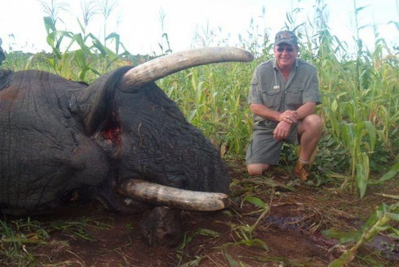  Zažite divočinu / Zimbabwe - poľovačka na slona a byvola - foto