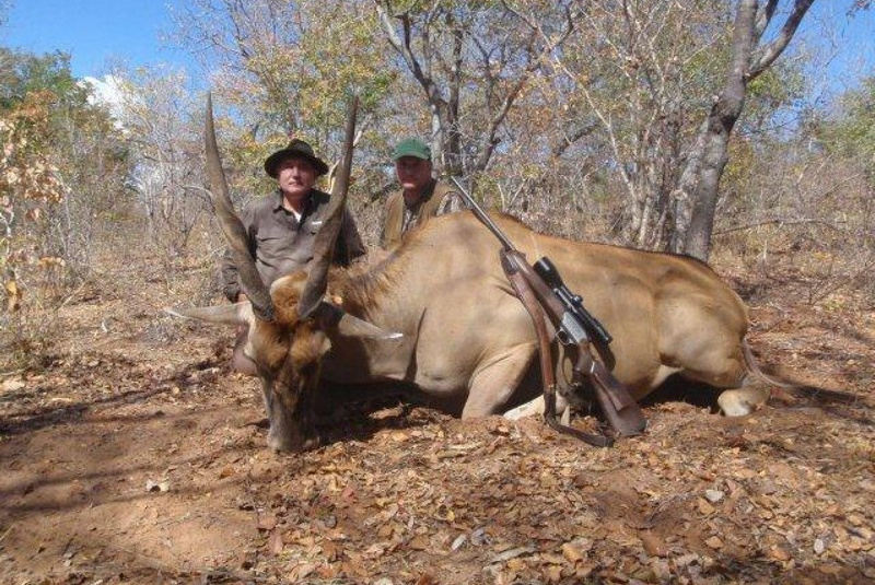  Zažite divočinu / Zimbabwe - poľovačka na slona a byvola - foto