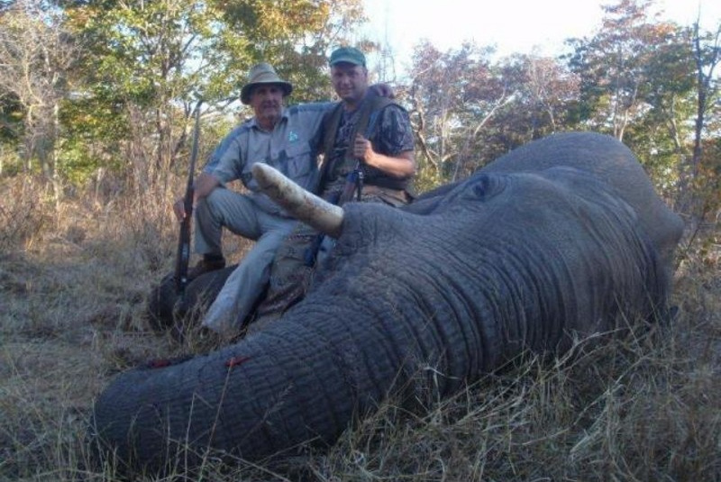  Zažite divočinu / Zimbabwe - poľovačka na slona a byvola - foto