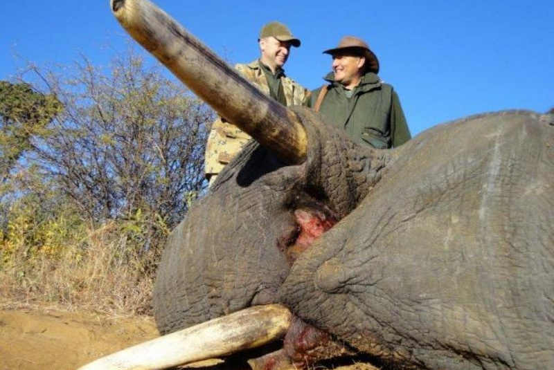  Zažite divočinu / Zimbabwe - poľovačka na slona a byvola - foto