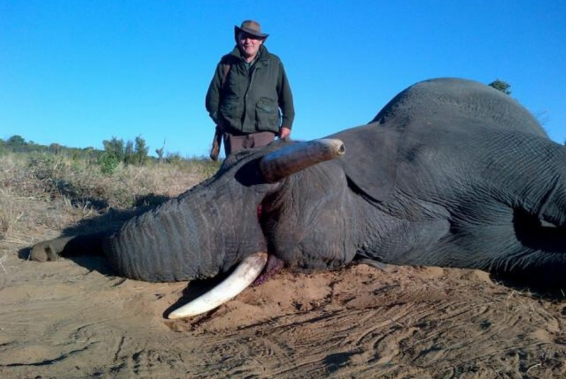 Zažite divočinu / Zimbabwe - poľovačka na slona a byvola - foto Zažite divočinu / Zimbabwe - poľovačka na slona a byvola - foto