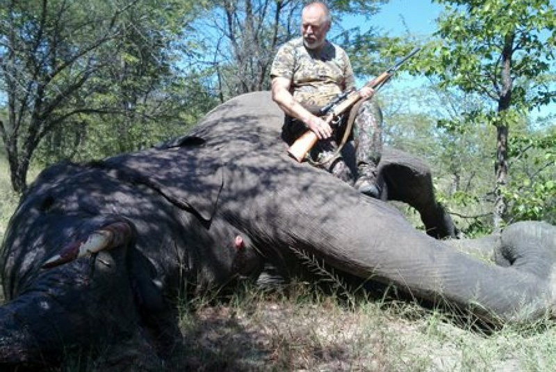 Zažite divočinu / Zimbabwe - poľovačka na slona a byvola - foto Zažite divočinu / Zimbabwe - poľovačka na slona a byvola - foto