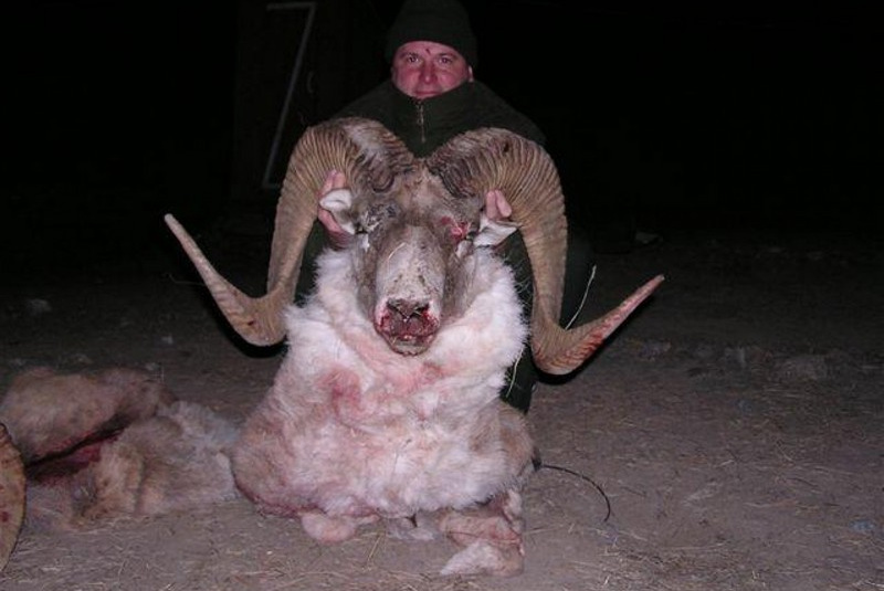 Zažite divočinu / Kirgizsko - poľovačka na vlka a kozorožca - foto Zažite divočinu / Kirgizsko - poľovačka na vlka a kozorožca - foto