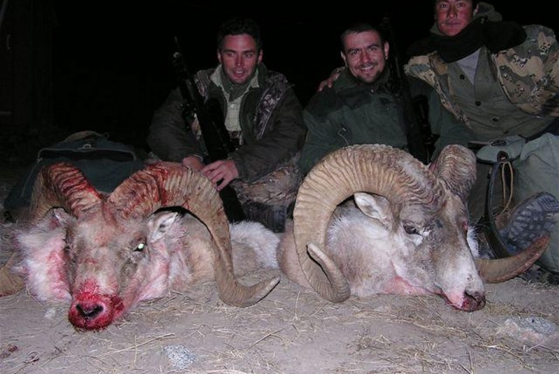 Zažite divočinu / Kirgizsko - poľovačka na vlka a kozorožca - foto Zažite divočinu / Kirgizsko - poľovačka na vlka a kozorožca - foto