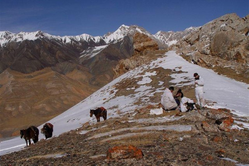 Zažite divočinu / Kirgizsko - poľovačka na vlka a kozorožca - foto Zažite divočinu / Kirgizsko - poľovačka na vlka a kozorožca - foto