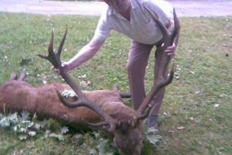 Najbližšie poľovačky / Poľovačka na jeleňa - foto  Najbližšie poľovačky / Poľovačka na jeleňa - foto