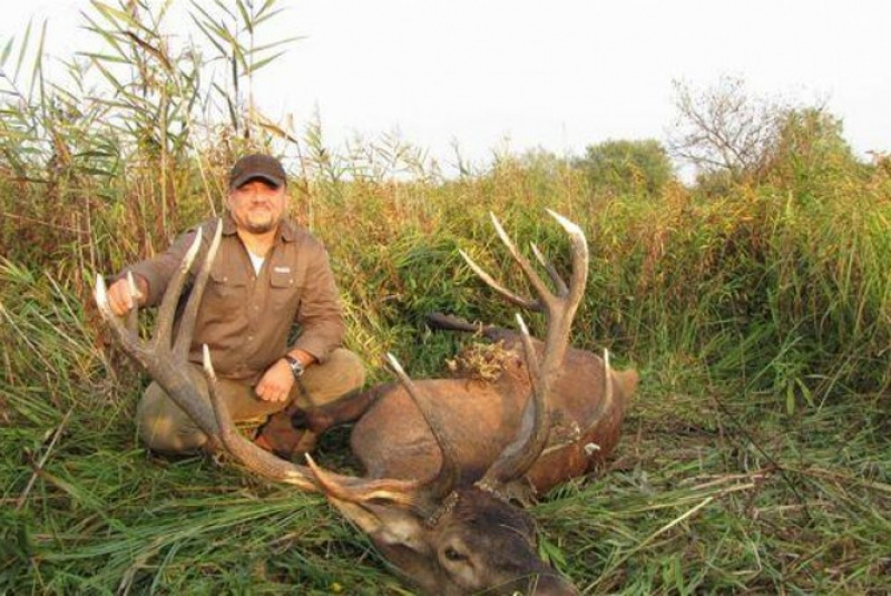 Najbližšie poľovačky / Poľovačka na jeleňa - foto  Najbližšie poľovačky / Poľovačka na jeleňa - foto