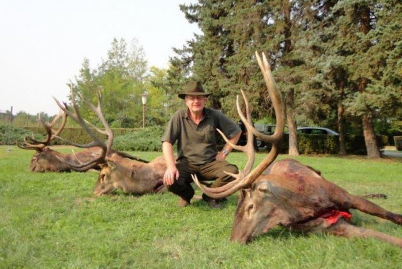 Najbližšie poľovačky / Poľovačka na jeleňa - foto  Najbližšie poľovačky / Poľovačka na jeleňa - foto