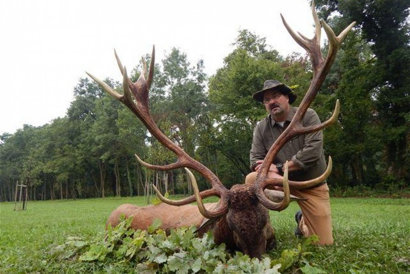 Najbližšie poľovačky / Poľovačka na jeleňa - foto  Najbližšie poľovačky / Poľovačka na jeleňa - foto