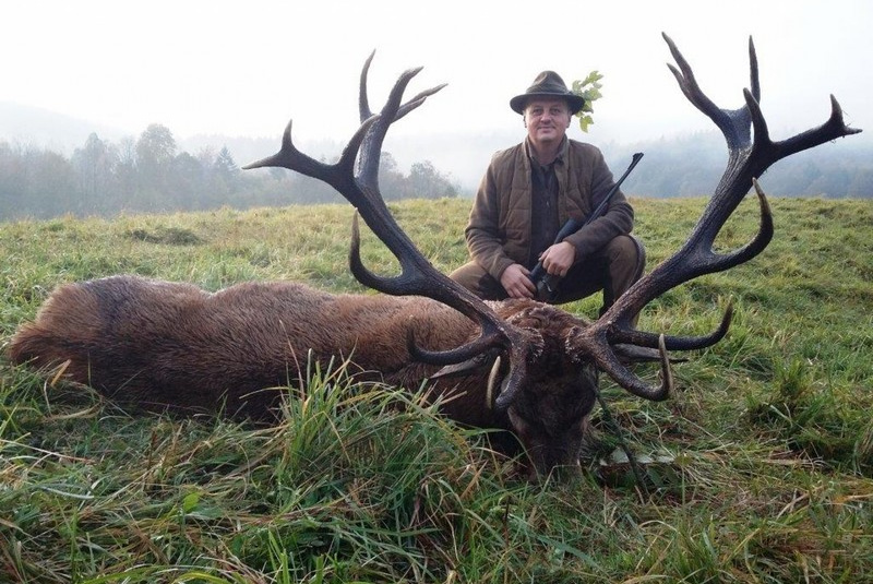  Najbližšie poľovačky / Poľovačka na jeleňa v Chorvátsku - foto