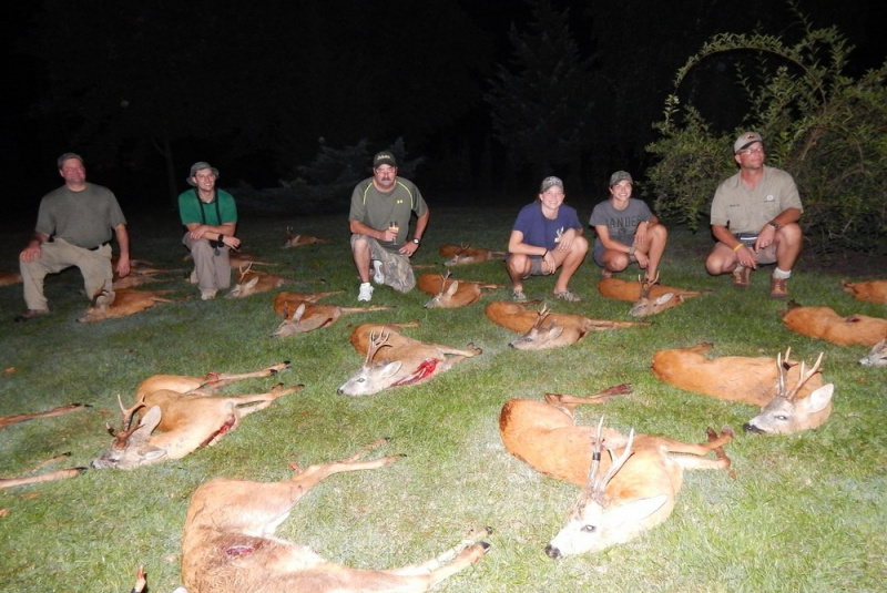  Poľovačky / Paušál na tri väčšie srnce - foto