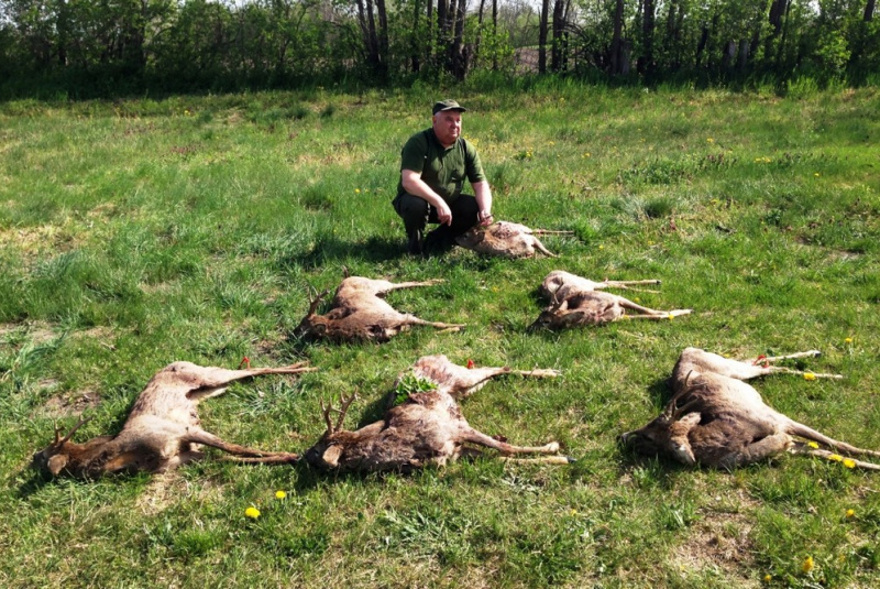 Poľovačky / Paušál na tri väčšie srnce - foto Poľovačky / Paušál na tri väčšie srnce - foto