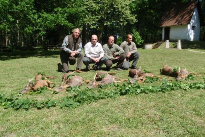  Poľovačky / Poľovačka na 4 srnce v Maďarsku - foto