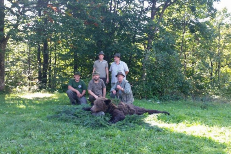  Poľovačky / Poľovačka na medveďa v Chorvátsku - foto