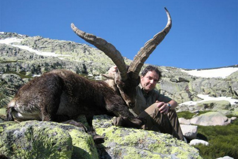 Poľovačky / Lov kozorožca Gredos - foto  Poľovačky / Lov kozorožca Gredos - foto