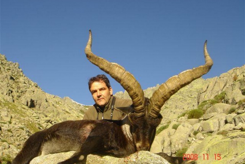 Poľovačky / Lov kozorožca Gredos - foto  Poľovačky / Lov kozorožca Gredos - foto