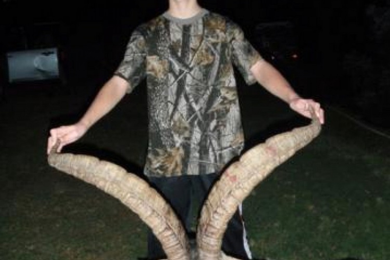 Poľovačky / Lov kozorožca Gredos - foto  Poľovačky / Lov kozorožca Gredos - foto