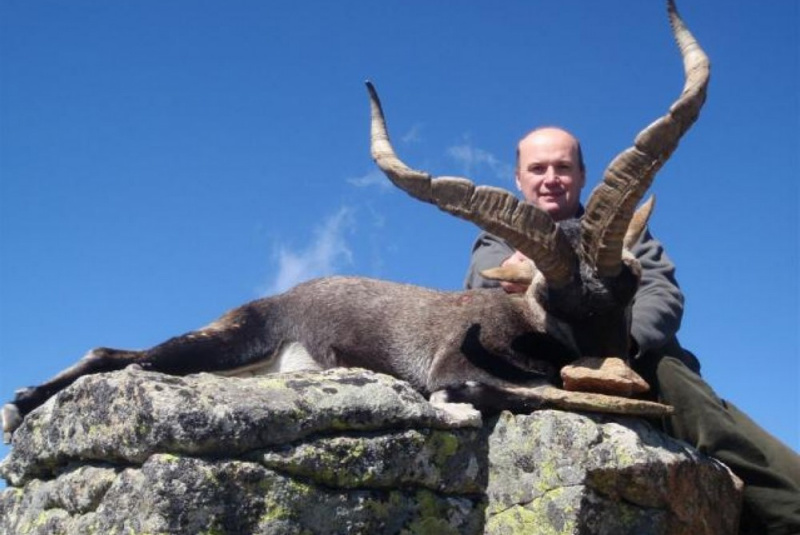 Poľovačky / Lov kozorožca Gredos - foto  Poľovačky / Lov kozorožca Gredos - foto