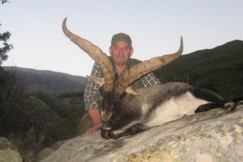  Poľovačky / Lov kozorožca Gredos - foto
