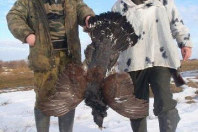  Poľovačky / Poľovačka na hlucháňa a tetrova v Rusku - foto