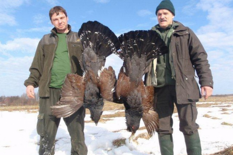Poľovačky / Poľovačka na hlucháňa a tetrova v Rusku - foto  Poľovačky / Poľovačka na hlucháňa a tetrova v Rusku - foto