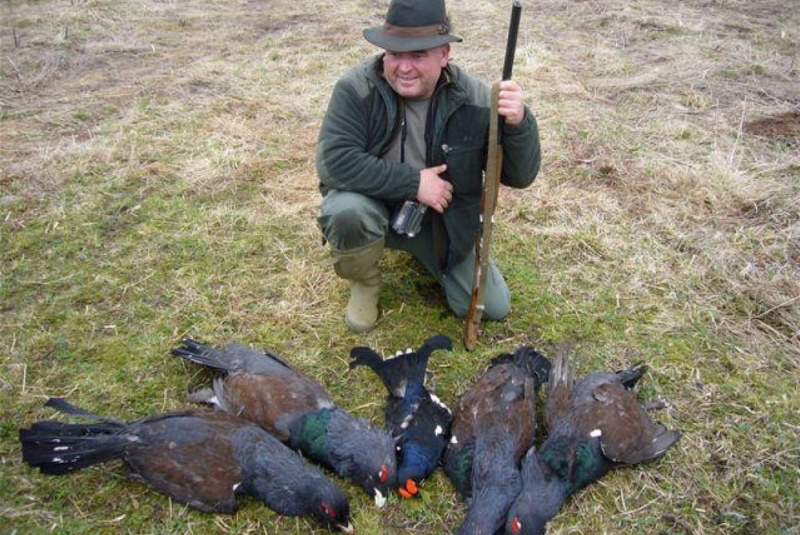  Poľovačky / Poľovačka na hlucháňa a tetrova v Rusku - foto