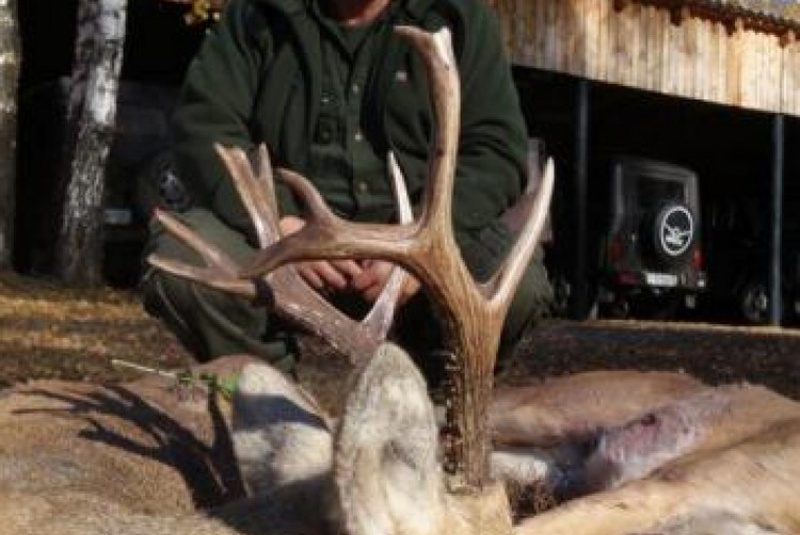 Poľovačky / Poľovačka na sibírskeho srnca a losa - foto Poľovačky / Poľovačka na sibírskeho srnca a losa - foto