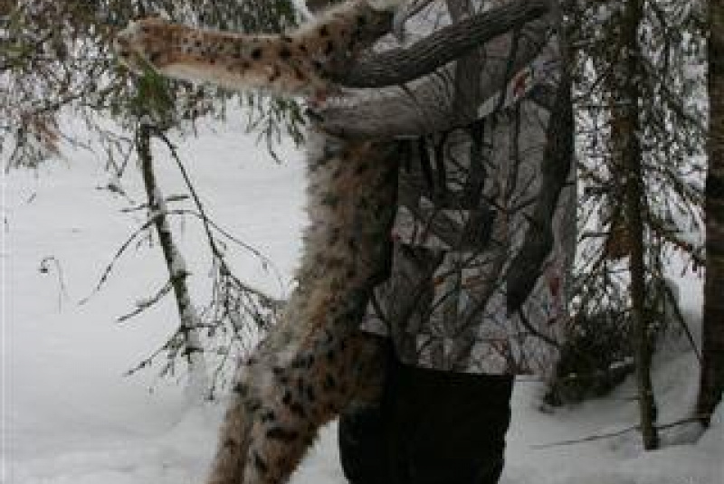 Poľovačka v Európe Poľovačka v Európe